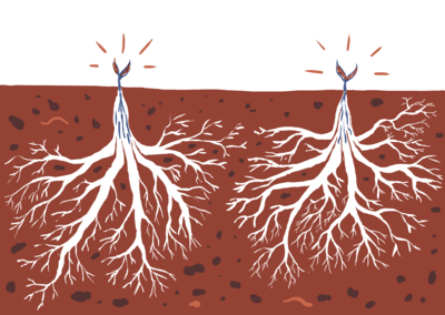 Plants with huge root systems, and small growth above ground