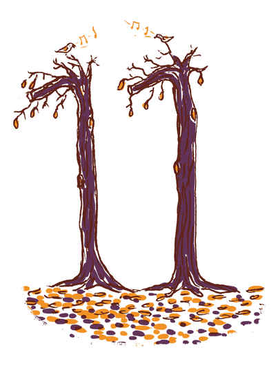 two leafless trees make up the number eleven illustrating the autumn month november