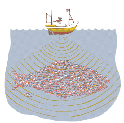 fish boat finding fish streams with sonar